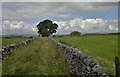 Footpath near Arden Villas, Chelmorton