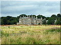 Bayham Abbey