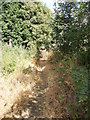 Footpath - Timothy Lane