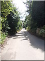 Old Hall Road - looking towards Timothy Lane