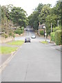 The Balk - looking towards Timothy Lane