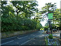 Looking north-west up Dibbinsdale Road