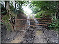 Muddy tracks into a field, Pontllanfraith