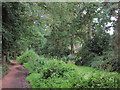 Footpath along Basingstoke Canal