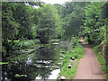 Basingstoke Canal