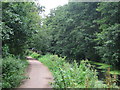 Basingstoke Canal