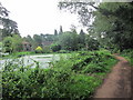 Basingstoke Canal