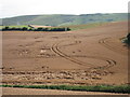 Crop field at Houndean Bottom