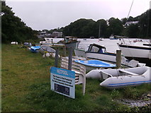 SN1746 : Net Pool boats and dinghies by chris whitehouse