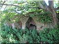 Lime kilns at Green Carts