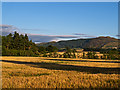 Agricultural land near Nether Fordun