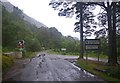 Junction framed by Scots pine