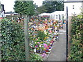 A riot of colour in a Garforth garden