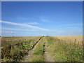 A footpath leading to Woodhouse Farm