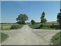 Lane to Starveall Farm crosses Ridgeway