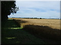 Farmland off High Dike