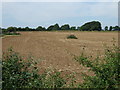 Farmland off High Dike