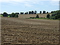 Farmland, West Willoughby