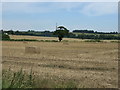 Farmland near Carlton Scroop