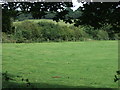 Farmland, Normanton on Cliffe