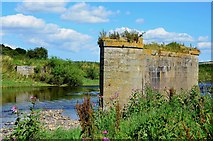 NT6625 : Remains of the railway bridge over the Teviot, Nisbetmill by Jim Barton