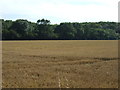 Farmland off Heath Lane