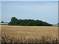 Farmland near Kelby