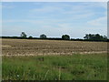 Farmland, Poplar Farm