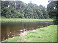 Downstream River Dee