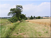 TM3674 : Permissive Path to the B1117 Halesworth Road by Geographer