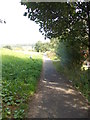 Footpath - Constance Way