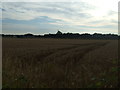 Farmland near Easton