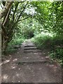 Steps from Cobb on South West Coast Path