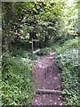 An old pipe crossing the path through the Undercliff