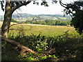 Looking towards Netherton from Coxhill Farm