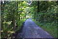 The footpath to Healey Nab