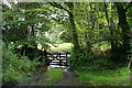 North Bovey: above Bovey Bridge