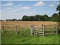 Towards Horseheath