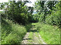 Clay Lane in the sun