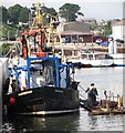 West African trawler hands painting the N300 Irish Enterprise at Kilkeel