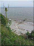 ST2265 : Jetty at Coal Beach, Flat Holm by Gareth James