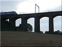 NU2212 : East Coast train on viaduct over River Aln by Russel Wills