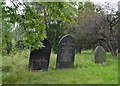 Nineteenth century graves in Attercliffe Cemetery