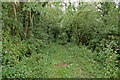 Trackbed of former Midland and South Western Junction Railway