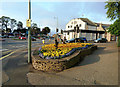 Floral Display in Nairn