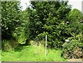 Footpath to Streetly End