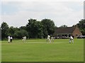 Horseheath Cricket Ground: a view from long leg