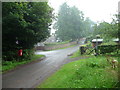 Part of Boughspring on a wet August morning