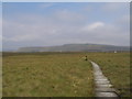 SK0892 : Pennine Way crossing Featherbed Moss by John Slater