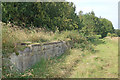 SP0609 : Remains of Foss Cross Station (3) by MrC